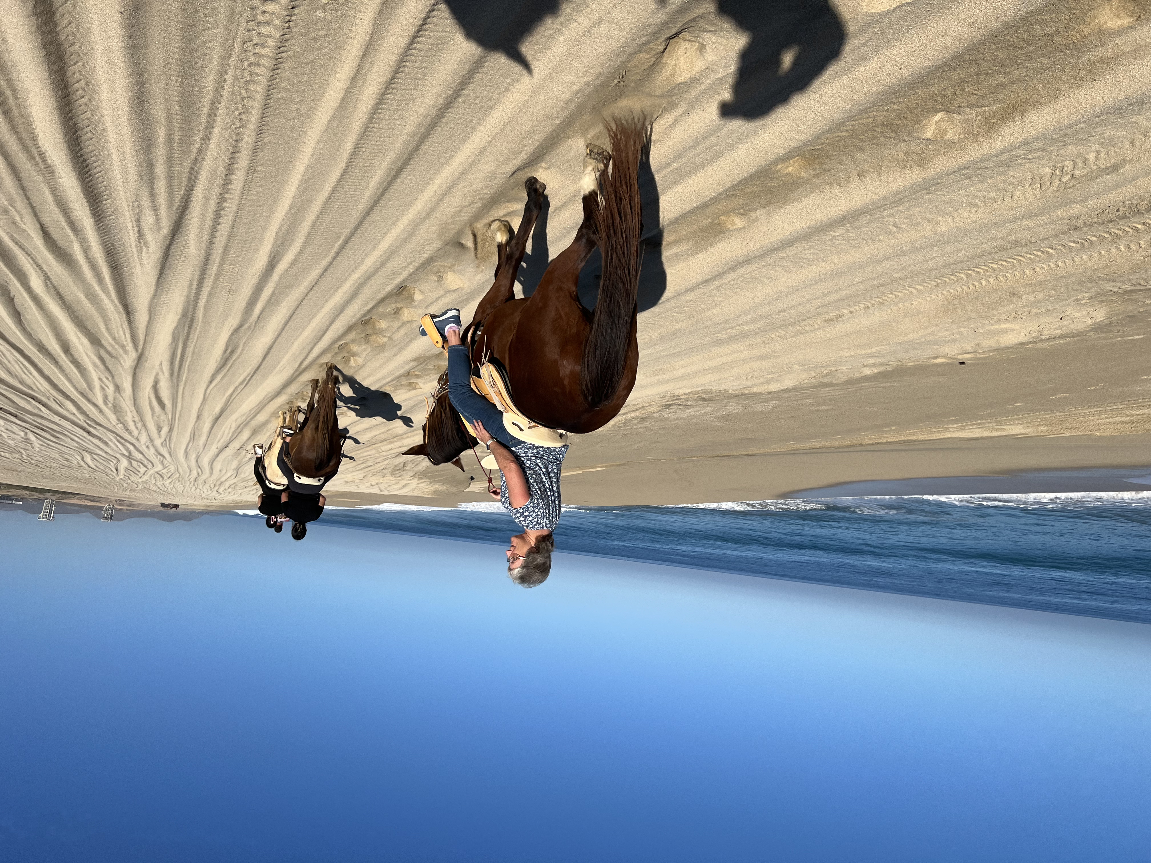 ./2024/13 - Cabo/IMG_4444.jpg